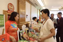 Ample room remains for Vietnam, Hong Kong trade cooperation