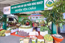 Nearly 300 trade promotion events planned for this year