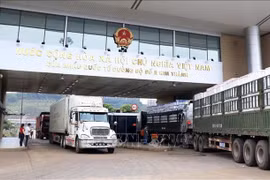PM orders urgent measures to prevent goods congestion at northern border gates