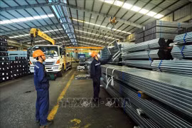 Steel pipes from Vietnam do not circumvent US trade remedy measures