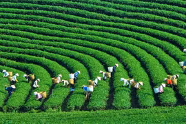 Green production now inevitable for Vietnamese exporters