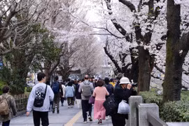 Vietnam, Japan cooperate in seeking solutions to tourist overload