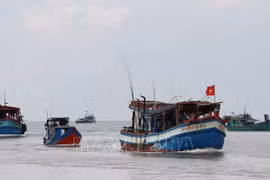 Deputy Minister inspects Hai Phong’s fight against IUU fishing