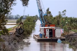 Project launched in Hau Giang to improve adaptation to climate change 