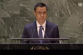Vietnam condemns terrorism in all forms, manifestations: Ambassador