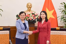 Vietnam treasures ties with China: Deputy FM