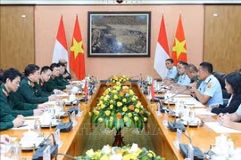Vietnam, Indonesia hold third defence policy dialogue