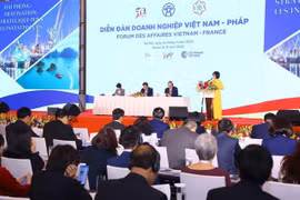 Vietnam, France boast huge cooperation opportunities: business forum