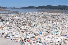 Vietnam actively participates in negotiations on global treaty on plastics pollution