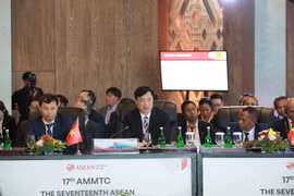 Vietnam attends ASEAN meeting on trans-border crime