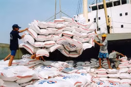Vietnam's rice export prices reach 15-year high