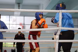 Vietnamese boxers gearing up for SEA Games 32