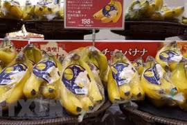JICA helps Vietnamese farm produce reach Japanese market