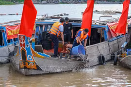 Can Tho releases more than 1 million fish fry to nature