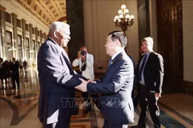 Vietnam, Cuba seek measures to strengthen fraternal solidarity