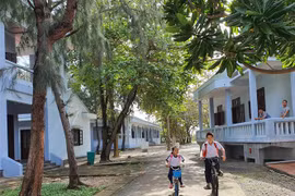 Warm Tet atmosphere covers Truong Sa islands