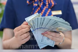 Reference exchange rate down 17 VND at week’s beginning