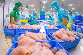Aquaculture exports hoped to reach 9.5 billion USD in 2024
