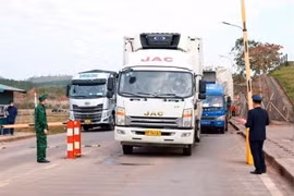 Quang Ninh: Cross-border trading with China resumed after Tet