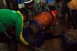 Indonesia aims to produce 2 million tonnes of shrimps