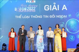 Awards affirm VNA’s role in domestic press circle