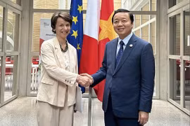 Deputy PM meets leader of French development agency