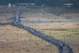 Indonesia becomes largest importer of Thailand's rice