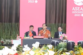 ASEAN should maintain balanced, harmonious approach to partners: FM Son