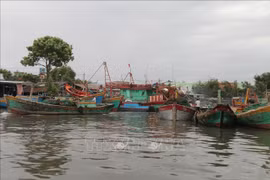 Tien Giang raises fishermen’s awareness about IUU fishing