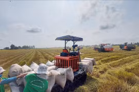Vietnam exports 1.7 million tonnes of rice in Q1