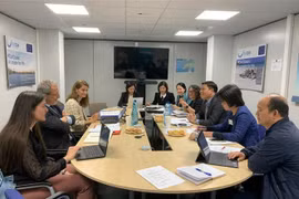 Vietnam updates EC on efforts to combat IUU fishing 