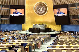 Vietnam causes impact at multilateral forums: Ambassador 