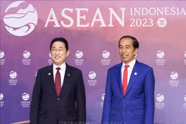 Indonesia, Japan to implement amended economic partnership agreement