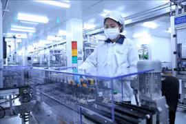 ​Hai Duong's FDI attraction surpasses target