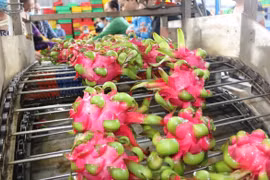 New approach needed to better tap Chinese market: experts