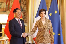 Vietnam, France wish to elevate ties to greater height