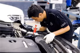 Cut on automobile registration fees to facilitate auto industry