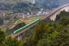 China-Vietnam, China-Laos int'l cold-chain freight trains begin operation