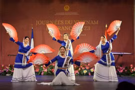 Vietnam Day in France 2023 attracts overseas Vietnamese, friends