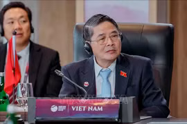 Vietnam eyes stronger parliamentary cooperation with ASEAN countries