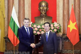 President receives newly accredited foreign ambassadors