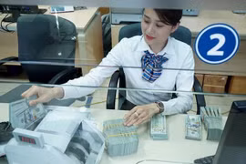 Reference exchange rate up 7 VND on June 16 