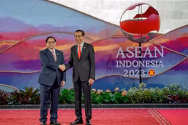 Vietnam-Indonesia strategic partnership witness progresses in many areas