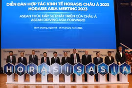 Binh Duong hosts 2023 Horasis Asia Meeting 