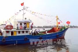 Quang Trị province focuses on combating IUU fishing