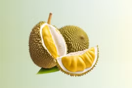 Frozen durian cleared for official export to China