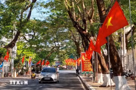 A street adorned with flags and banners in Ca Mau city of Ca Mau province. The 2025 Tet holiday will last from January 25 to February 2. (Photo: VNA)