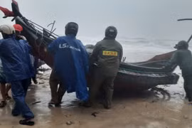 Authorities assist fishermen to move boats onto the shore before Storm Trami hit the mainland in Thua Thien - Hue province. (Photo: VNA)