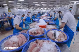 Workers process fish for export at a factory in Vietnam. (Photo: VNA)