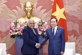 NA Chairman Tran Thanh Man (right) receives outgoing Cuban Ambassador to Vietnam Orlando Nicolas Hernandez Guillen in Hanoi on November 13. (Photo: VNA)